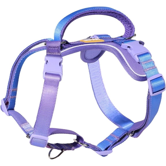 Freedom No Pull Martingale Dog Harness, ntle Cool for Choking, Front Clip Harness with Reflective, Adjustable & Padded Handle Easy Walking Training, Rainbow, 1", Chest 22.4"-30.4"