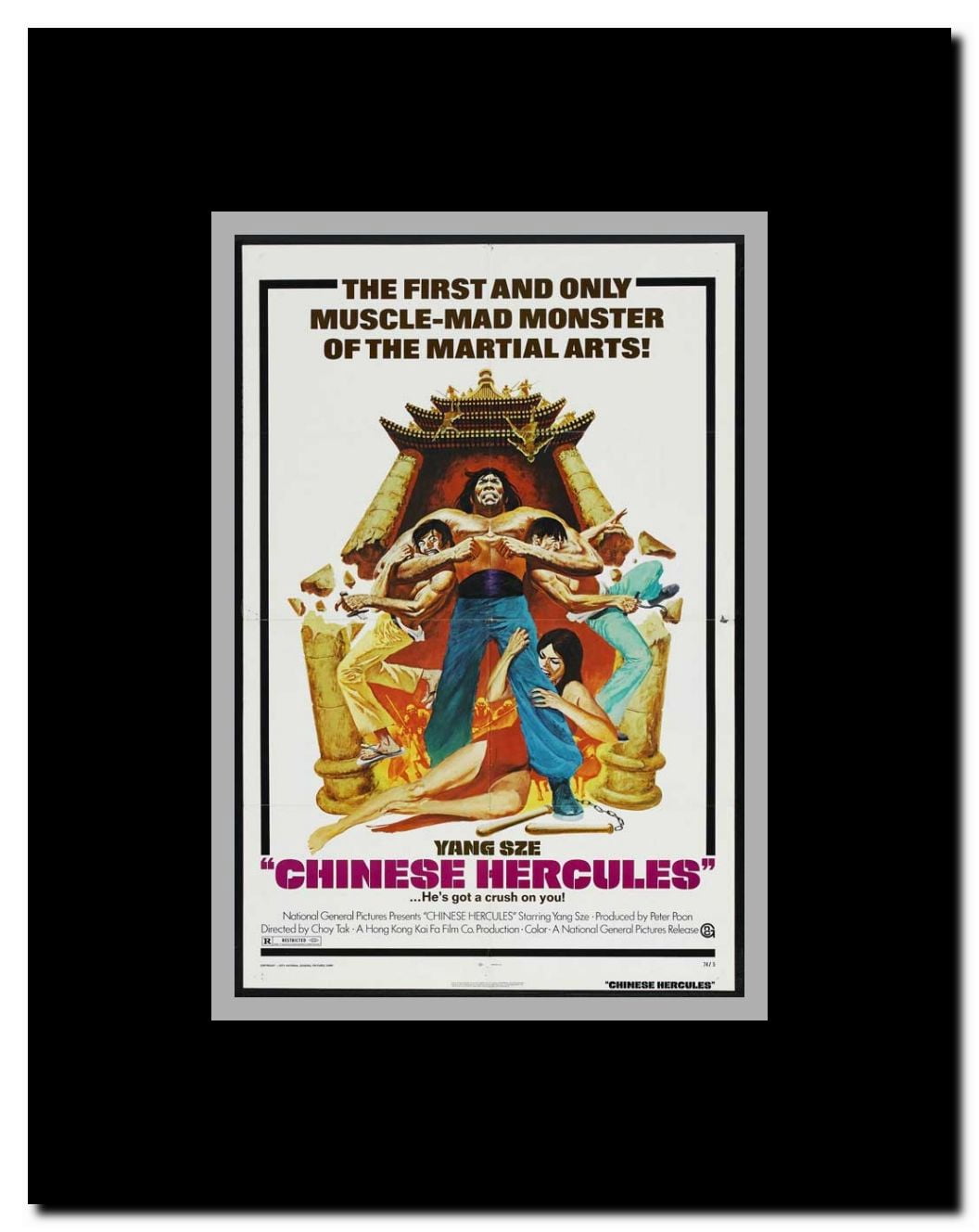 Freedom Strikes a Blow Framed Movie Poster