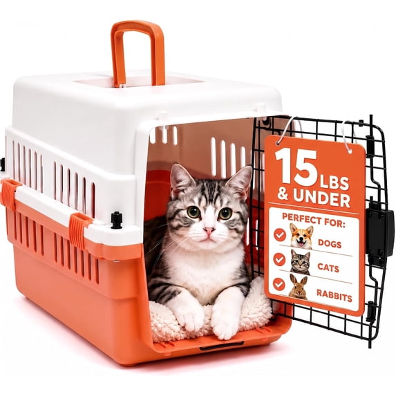 Freepet Hard-Sided Pet Carrier for Cats and Small Dogs, 20 inch, White/Orange