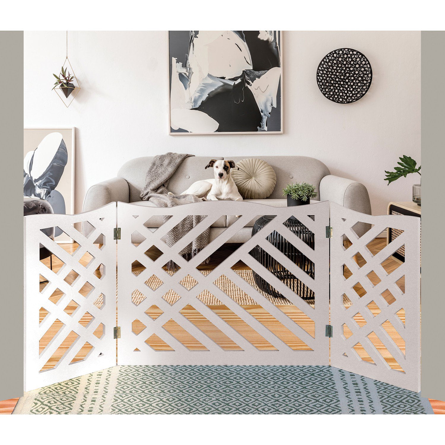 White dog fence 2025