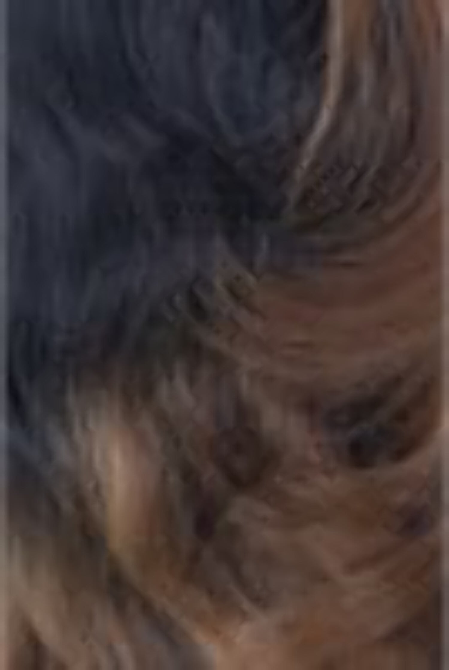 FreeTress Equal HD Lace Front Wig Level Up - KAMALA (FFHOTCHOCO)