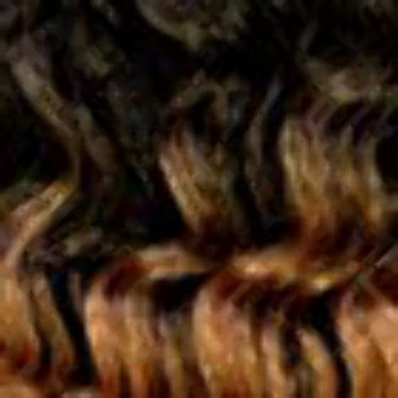 FreeTress Synthetic Hair Crochet Braids Water Wave Bulk 22"