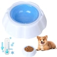 thumbnail image 1 of Freezable Cooling Bowl,Freezable Pet Bowl, Freezable Pet Water Bowl, Easy to Clean for Dog Cat Summer Outdoor Travel Feeding & Hydration (1, Sky Blue), 1 of 6
