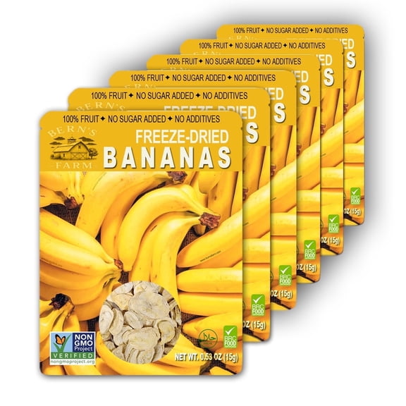 Freeze-Dried Banana Chips (No Sugar Added) Bags of 6 (0.53 oz Each) Gluten-Free Crispy & Delicious Fruit Snacks for Kids On-the-Go School Lunches