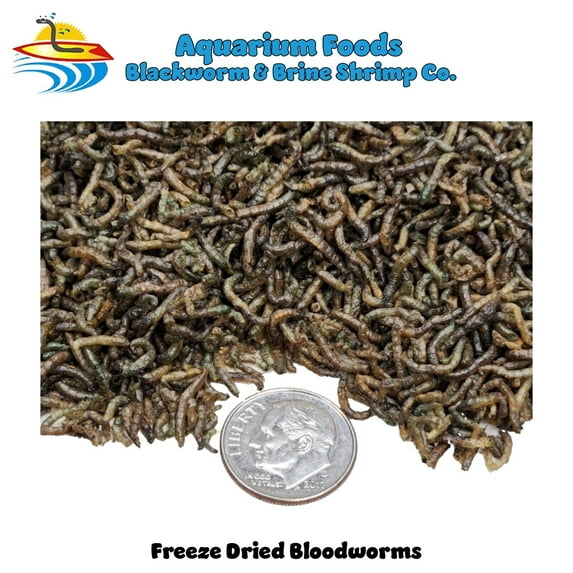 Freeze Dried Bloodworms - Cichlids, Turtles, Oscars, Koi, & Piranhas...8oz