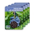 thumbnail image 1 of Freeze-Dried Blueberries Bags of 4, 15g Each – Gluten-Free, Crispy & Delicious, On-the-Go Snack, Ideal for Cereal, Smoothies, School Lunches,, 1 of 9