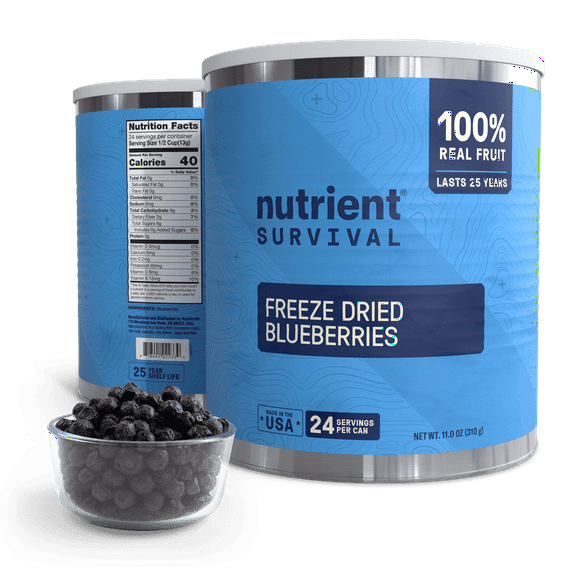 Nutrient Survival Freeze Dried Whole Blueberries with Long-Term Shelf Life – Allergen-Free