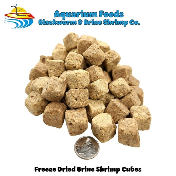 Freeze Dried Brine Shrimp Cubes - Discus, Cichlids, Tropical Fish & Carnivorous Plants...1-lb