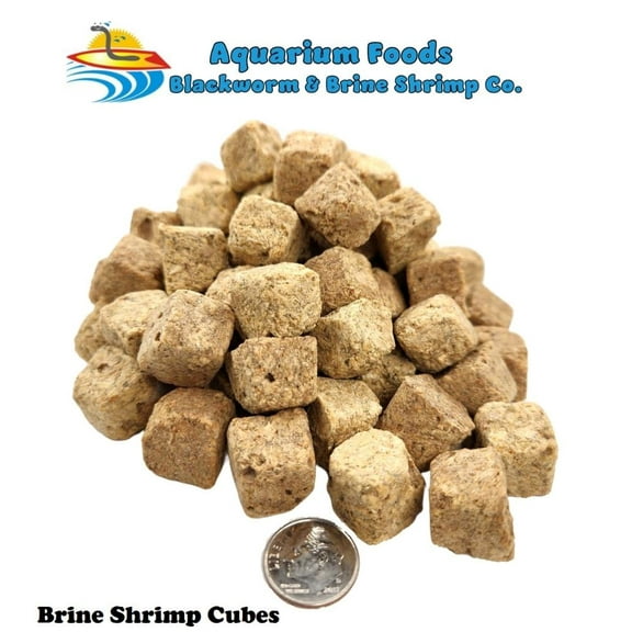 Freeze Dried Brine Shrimp Cubes - Tropical Fish, Marine Fish, Koi Fish, Turtles...5-lb