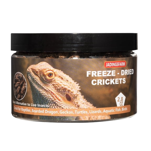 Freeze Dried Crickets – 2.8 Oz High Protein Freeze Dried Crickets, Food for Reptiles, Bearded Dragons, Lizards, Geckos, Birds, Fish,Hedgehogs, Bearded Dragon Food