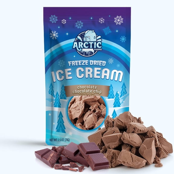 Freeze Dried Ice Cream That Does Not Melt (Bits) (Chocolate Chocolate Chip) (2.5oz)