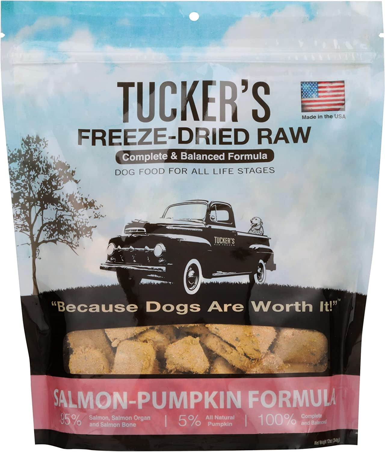 Freeze Dried Raw Dog Food, Salmon & Pumpkin Formula 12Oz