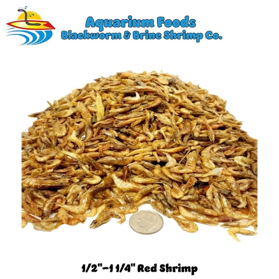 Freeze Dried Red Shrimp 1/2"-1.25" - For Turtles, Reptiles, Chickens, Birds, Large Fish...4oz