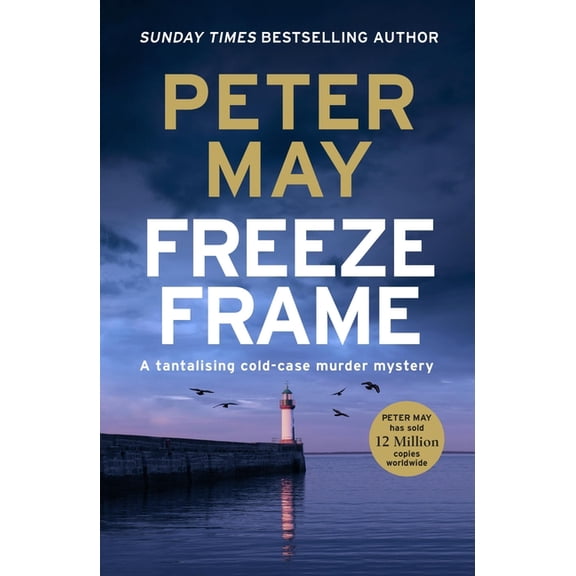 Freeze Frame: An Engrossing Instalment in the Cold-Case Enzo Series (the Enzo Files Book 4), (Paperback)