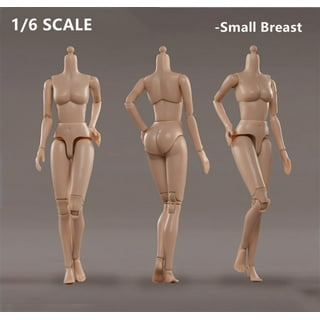 1 6 Female Figures