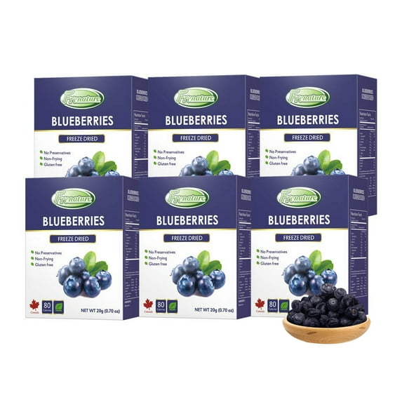 Frenature Freeze Dried Blueberries, 100% Whole Fruits, No Added Sugar, Gluten Free and Vegan, 1.27 Ounce (Pack of 6)