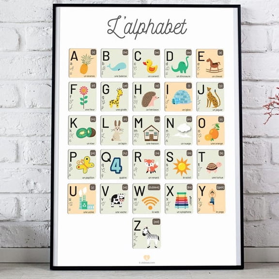 French Alphabet A-Z Printable Educational Posters | Cursive, Script, Phonetics, Visual Cues, Unframed Paper Poster 16x20in
