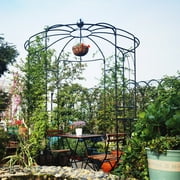 French Birdcage Gazebo with Metal Arch Trellis for Wedding Photography & Garden Decor, Sturdy Galvanized Steel, Black