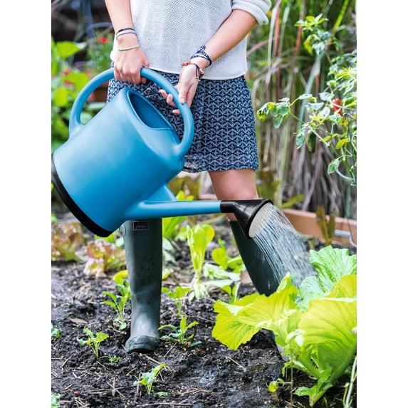 French Blue Watering Can