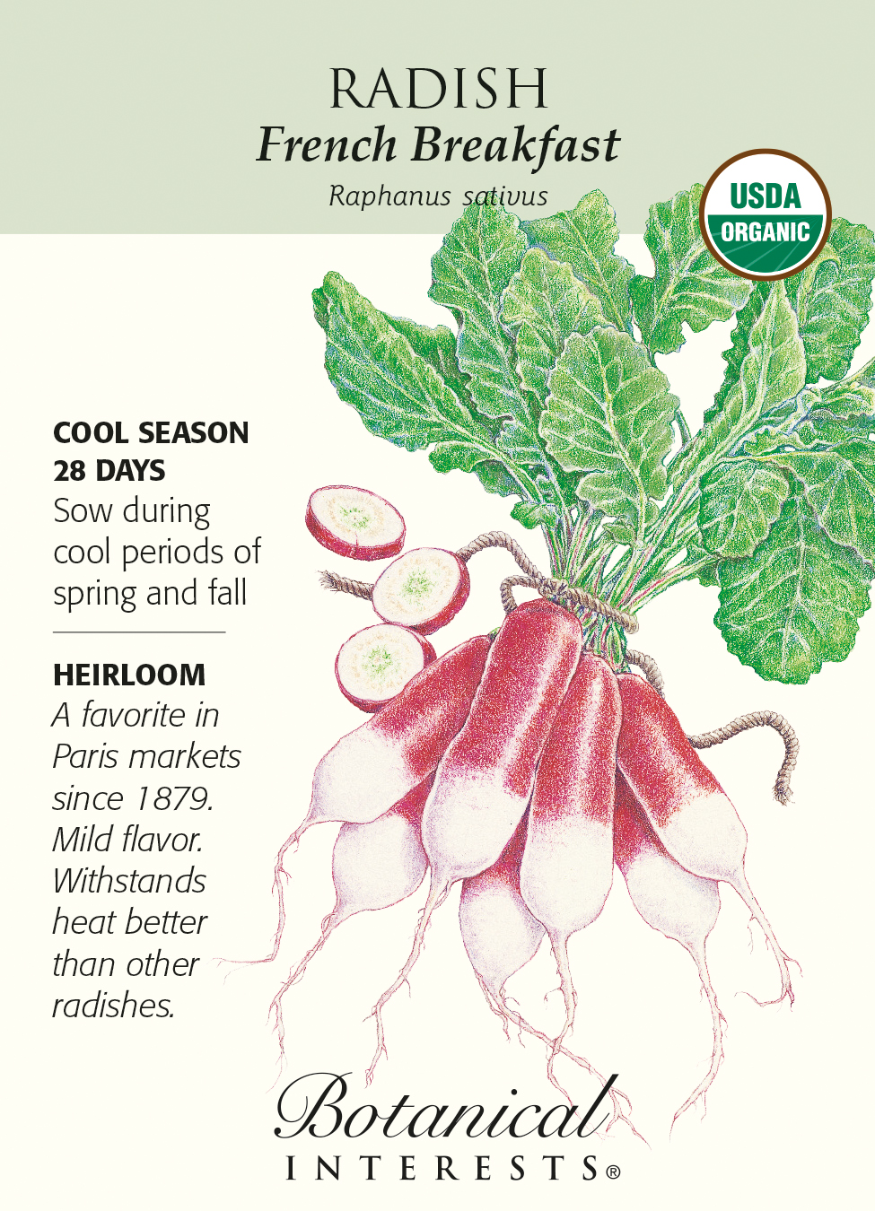 French Breakfast Radish Seeds 3 grams Organic