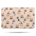 thumbnail image 1 of French Bulldog Dog Bathroom Rugs Mat,Non Slip Microfiber Bathroom Rug,Rubber Backing,Soft Bathroom Mats for Bathroom Floor,Tub and Shower,17x27in(43x68cm), 1 of 5