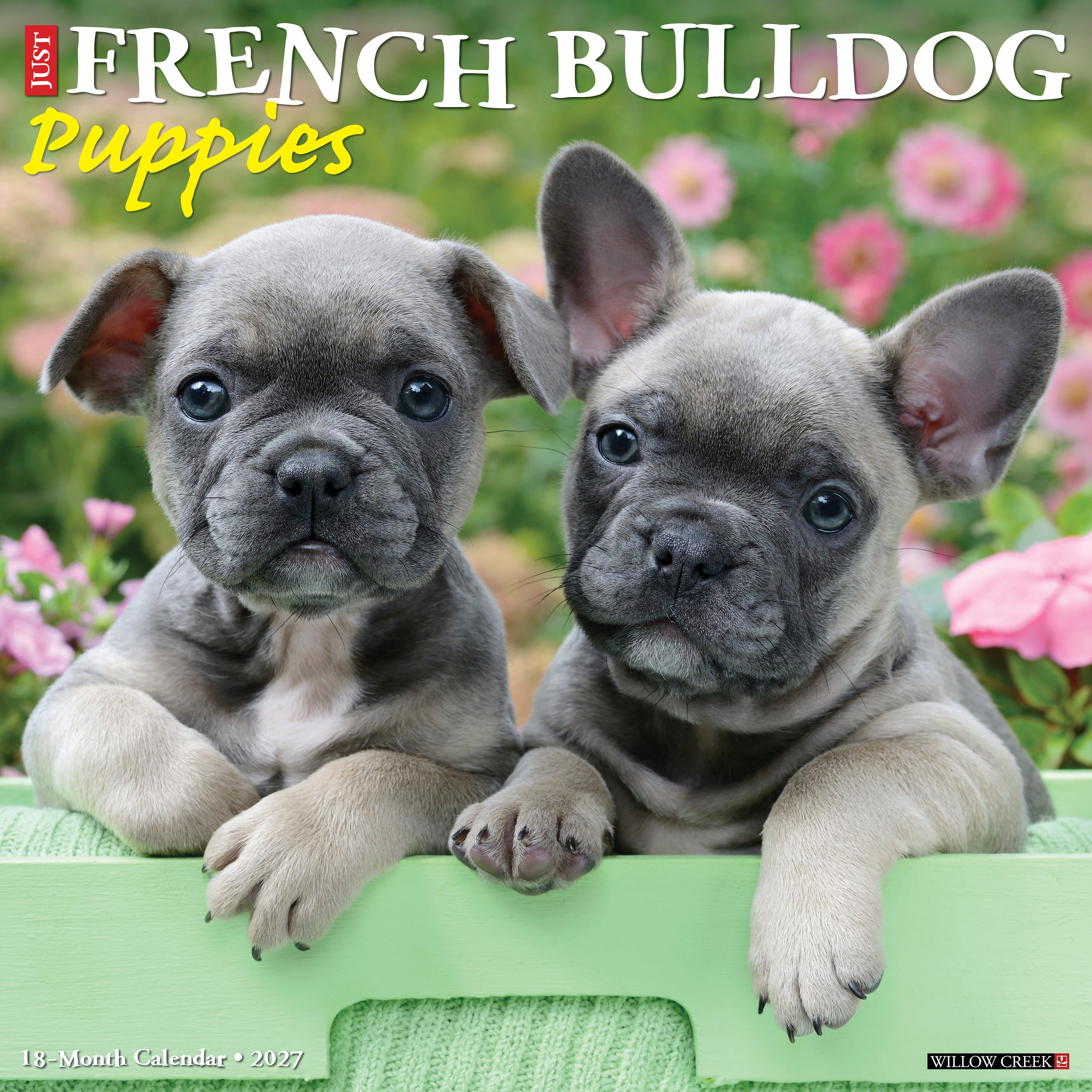 Willow Creek Press, French Bulldog Puppies 2027 Wall Calendar