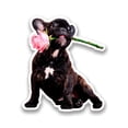 thumbnail image 1 of French Bulldog With Flower Sticker -SPIdeals Designs, Vinyl Sticker, 1 of 3