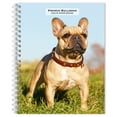 thumbnail image 1 of French Bulldogs | 2025 6x7.75" Engagement Planner Calendar | BrownTrout, 1 of 9