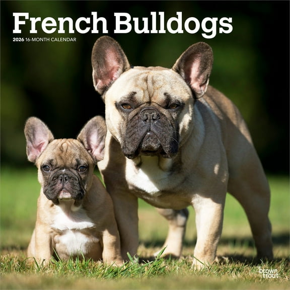 French Bulldogs | 2026 12x24" (Hanging) Wall Calendar | Plastic-Free | BrownTrout