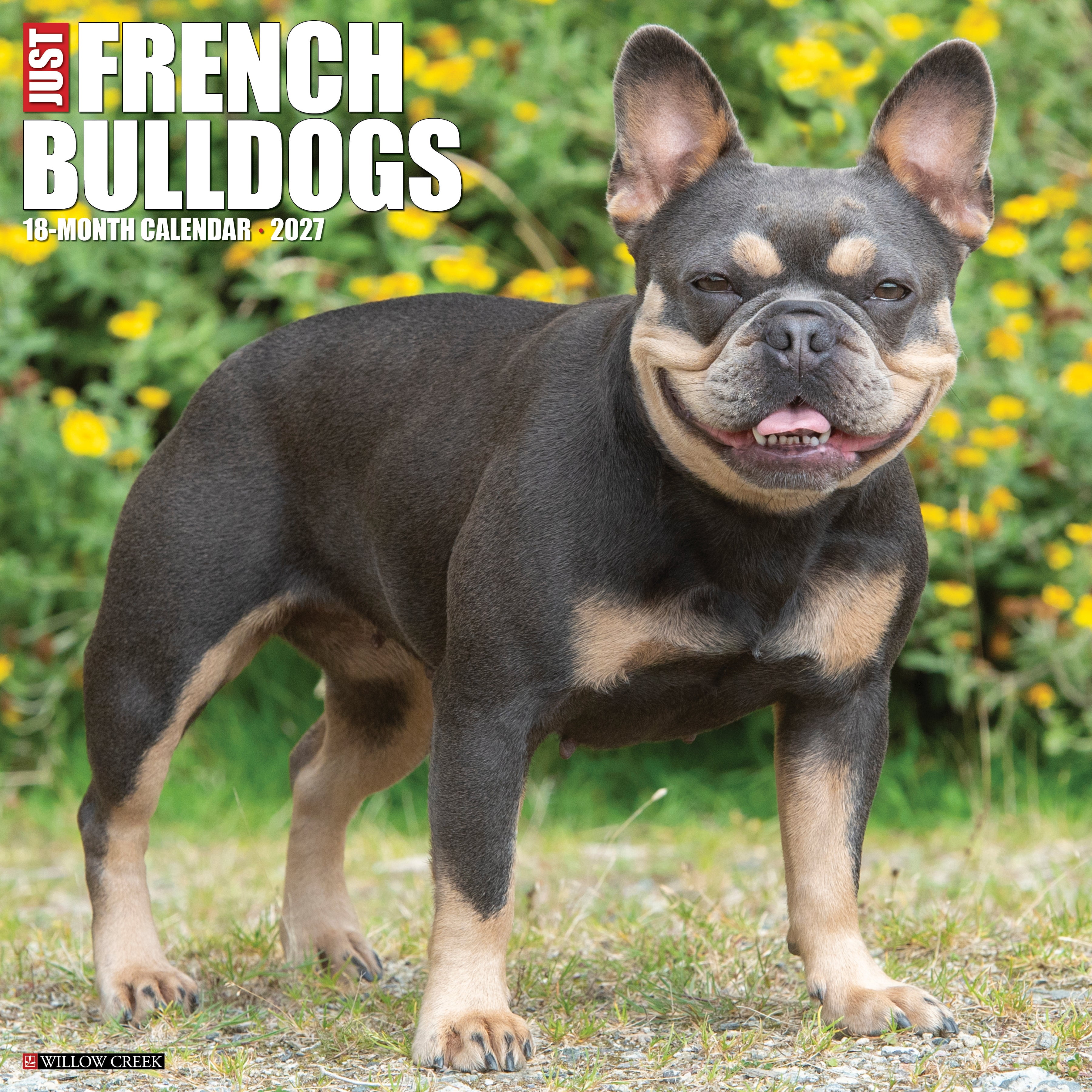 Willow Creek Press, French Bulldogs 2027 Wall Calendar