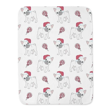 French Bulldogs And Popsicles Blanket -Image by Shutterstock,