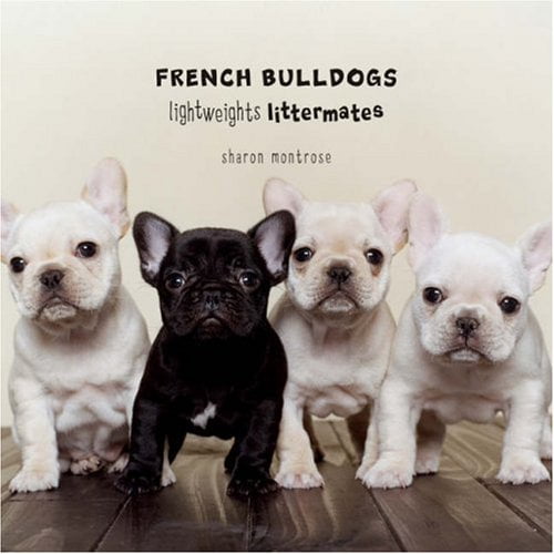 Pre-Owned French Bulldogs: Lightweights Littermates (Hardcover) 1584796359 9781584796350