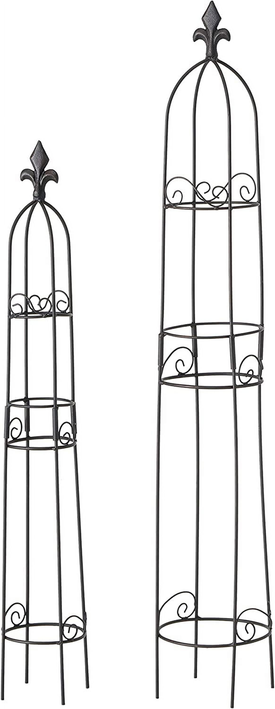 Black Metal French Country Obelisk Trellis Set