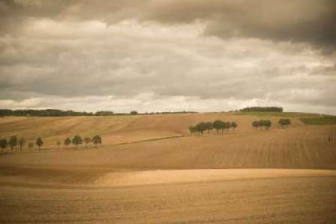 French Countryside I Canvas Art - Erin Berzel (24 x 36)