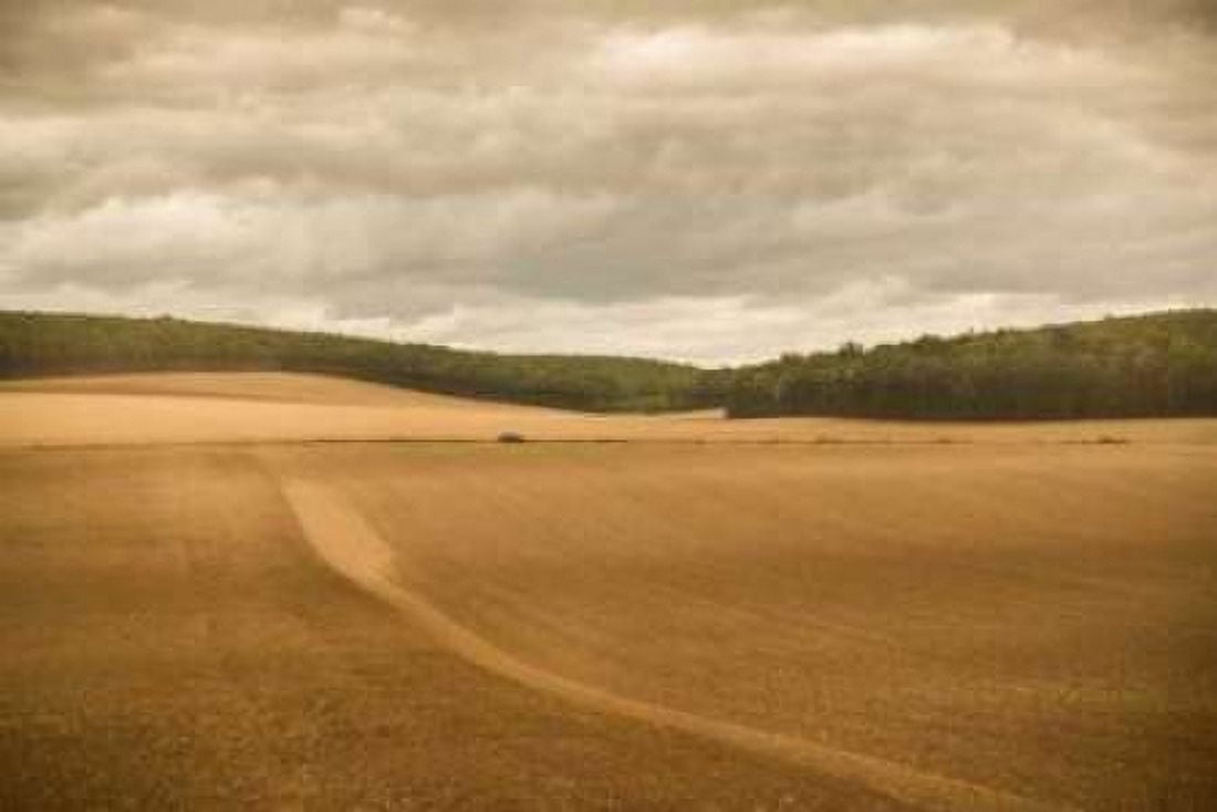 French Countryside II Canvas Art - Erin Berzel (24 x 36)