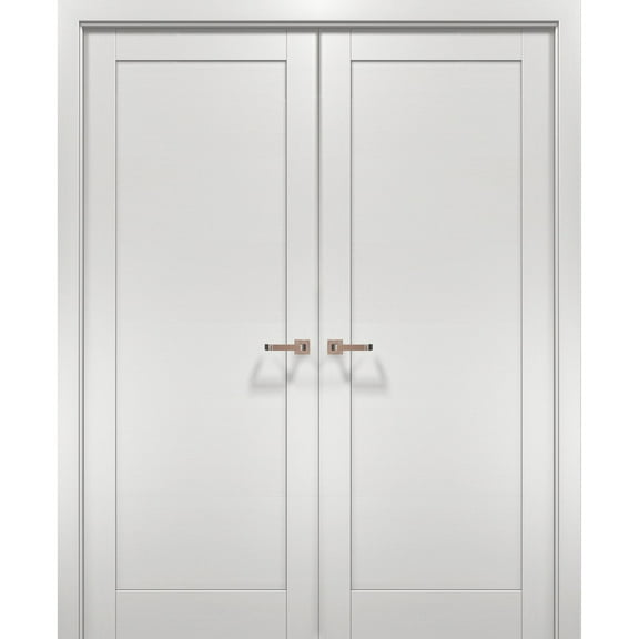French Double Interior Doors 48 x 80 with Hardware