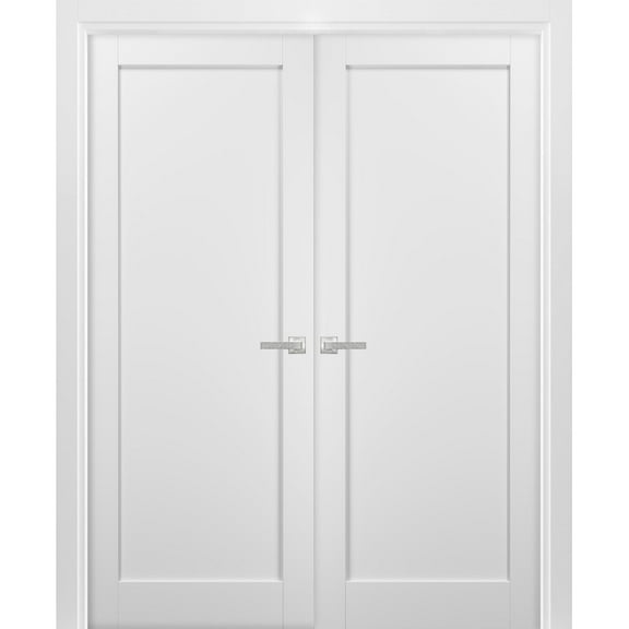 French Double Panel Doors 48 x 80 with Hardware