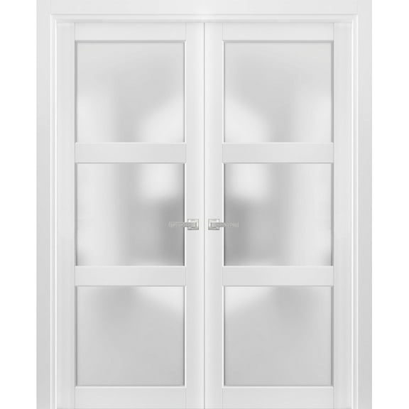 French Double Panel Lite Doors with Hardware | Lucia 2552 White Silk with Opaque Glass | Panel Frame Trims | Bathroom Bedroom Interior Sturdy Door