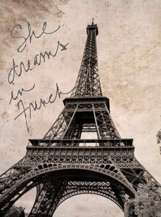French Dreams Border Canvas Art - Emily Navas (18 x 24)