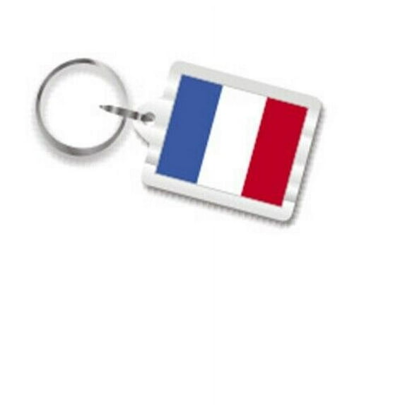French Flag Plastic Key Chain, Keychain Fob Ring from Paris, France