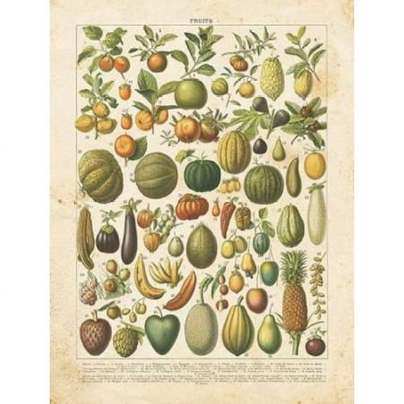 French Fruit Chart Poster Print by Gwendolyn Babbitt