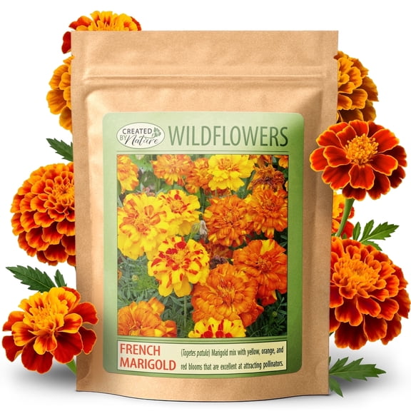 Created by Nature French Marigold Seeds, 2,300 Annual Wildflower Seeds