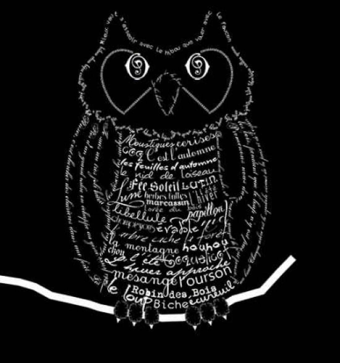 French Owl Black Canvas Art - Marion De Lauzun (24 x 24)