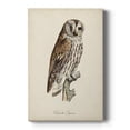 thumbnail image 1 of French Owls III Premium Gallery Wrapped Canvas - Ready to Hang, 1 of 9