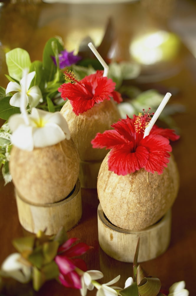 French Polynesia Bora Bora Close-Up Of A Refreshing Tropical Cocktails In Coconut Cups Canvas Art - Kyle Rothenborg Design Pics (24 x 38)