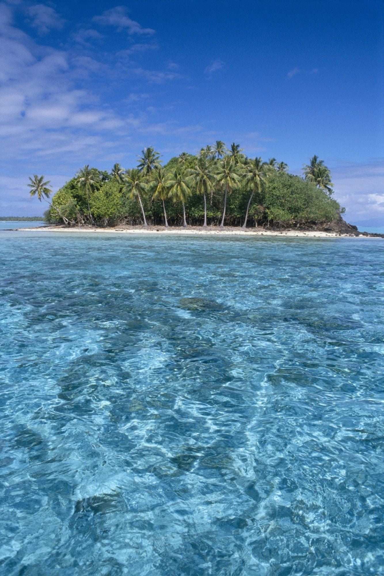 French Polynesia Bora Bora Motu Island Clear Turquoise Water In Foreground B1696 Canvas Art - Joe Carini Design Pics (12 x 19)