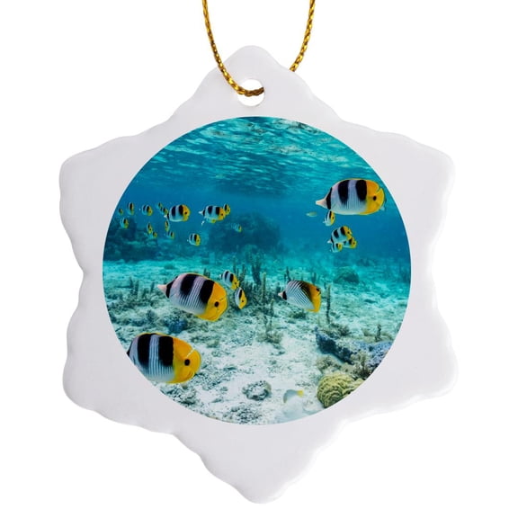 3drose, French Polynesia, Bora Bora. Pacific Double Saddle Butterfly Fish., 3 inch Snowflake Porcelain Ornament