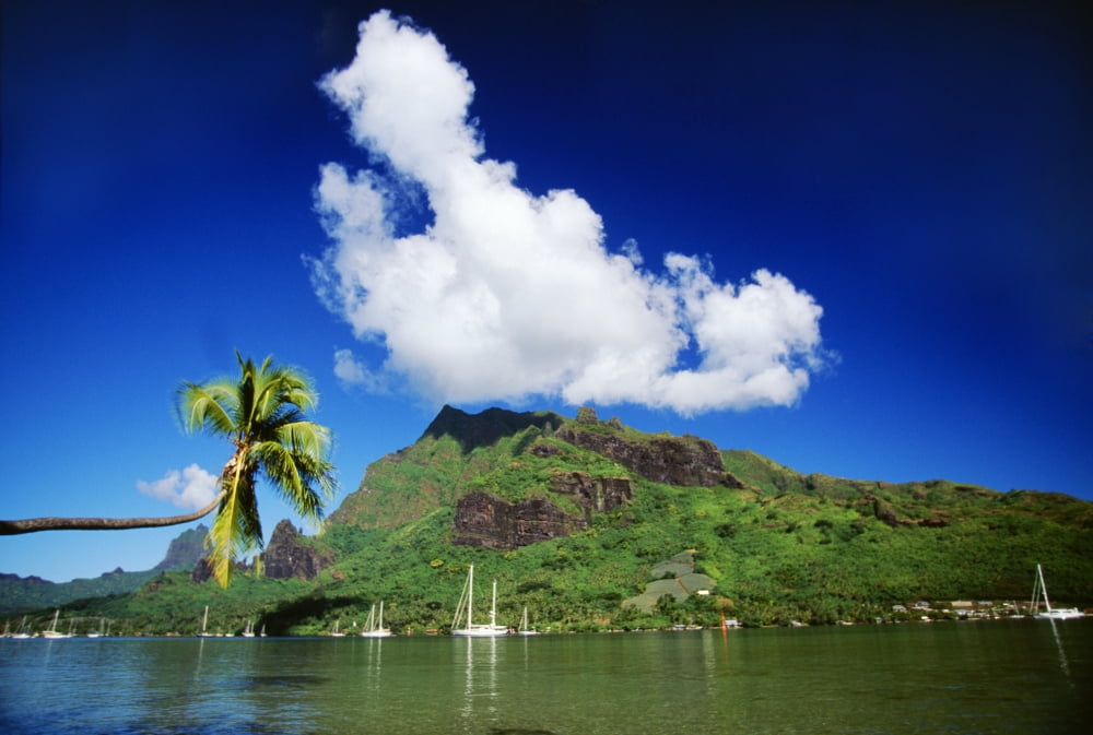 French Polynesia Moorea Scenic View Of Island And Puffy Cloud From Ocean Canvas Art - Dana Edmunds Design Pics (38 x 24)