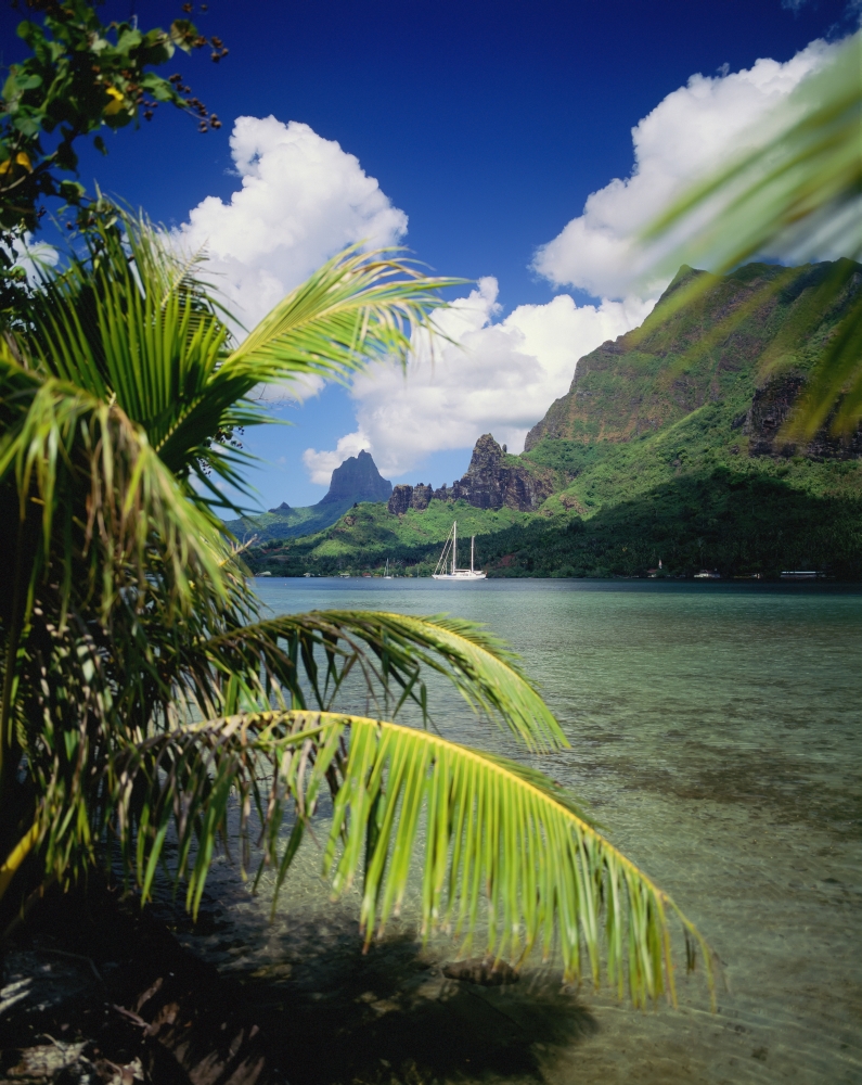French Polynesia Moorea View From Across Cooks Bay With Sailboat Moored Canvas Art - Ron Dahlquist Design Pics (13 x 17)