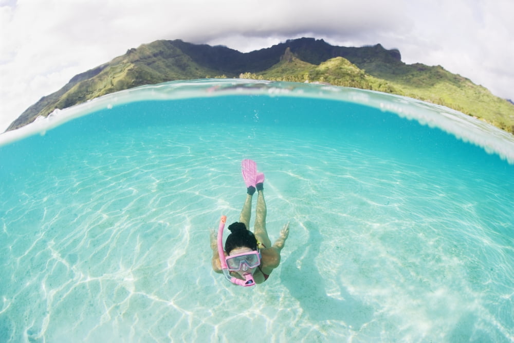 French Polynesia Moorea Woman Free Diving In Turquoise Ocean Canvas Art - M Swiet Productions  Design Pics (19 x 12)